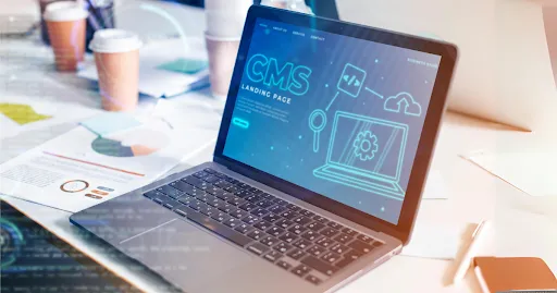 Choosing the Right CMS for Your Small Business Website