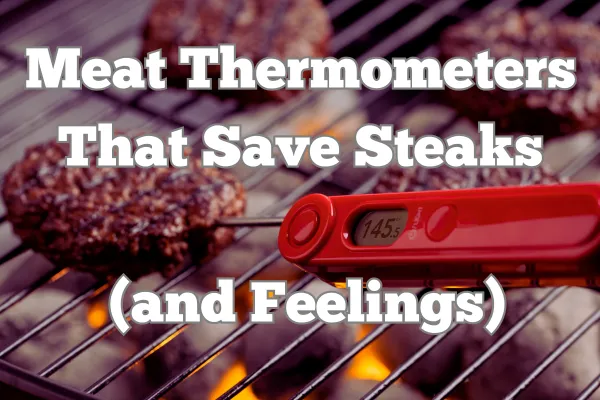 Meat Thermometers That Save Steaks (and Feelings)