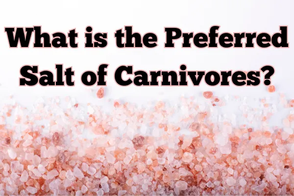 Why Carnivores Choose Redmond Real Salt