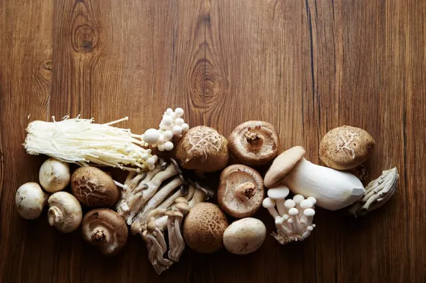 Mushrooms In Skincare