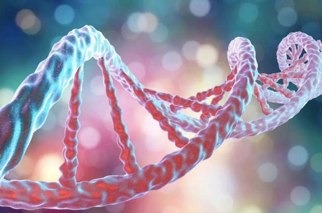 The Secret Ingredient Salmon DNA - PDRN