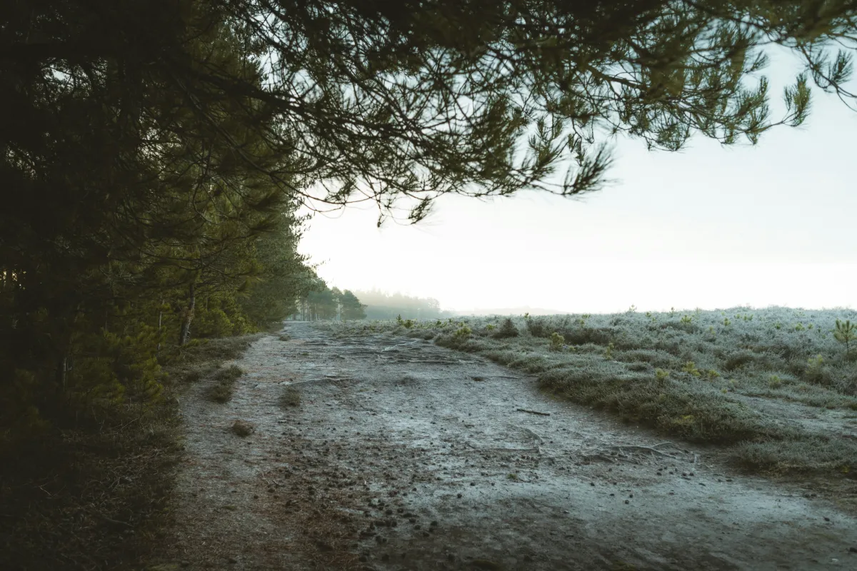 Breaking Free from the Holiday Hustle: Finding Peace in the Season