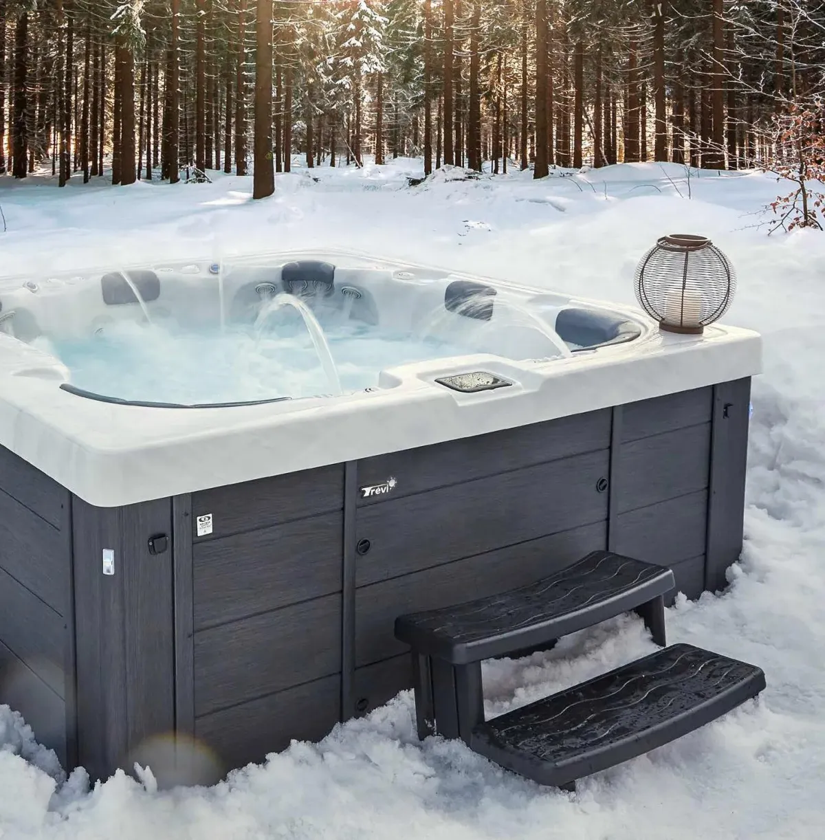 A Dynasty Spa In a Snow Covered Backyard
