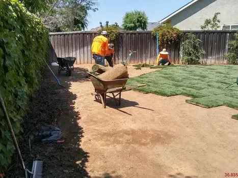 Landscaping