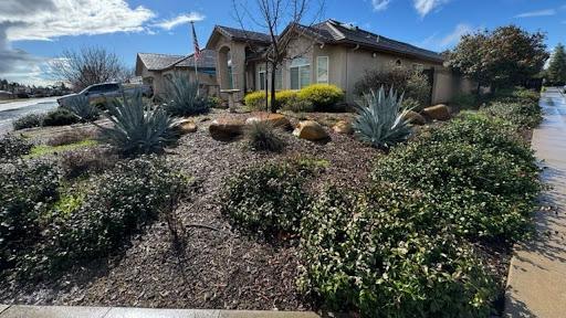 Berm In Landscaping