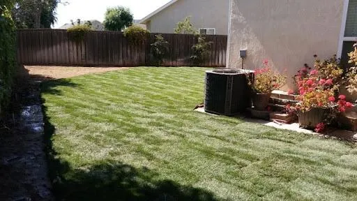 Landscaping And Renovation