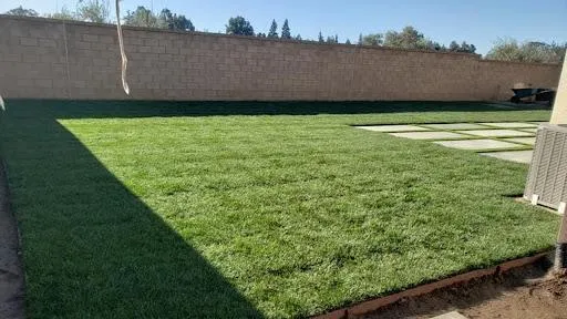 Artificial Turf