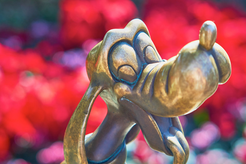 Create Magic with Blur: Portrait Mode Secrets for Park Photographers