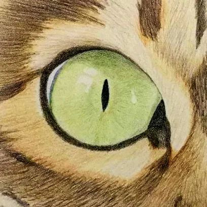 A colored pencil drawing of the closeup of a cat's eye