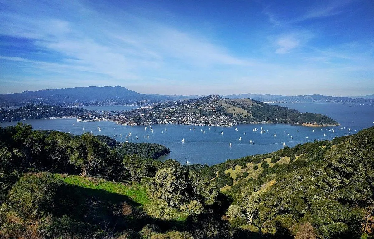 Angel Island State Park: A Bay Area Adventure Like No Other