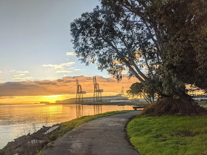🌊 Skip the Crowds, Keep the Views: Warm Water Cove Is the Real San Francisco
