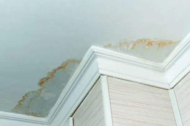 Water stain on ceiling caused by roof leak in New Rochelle