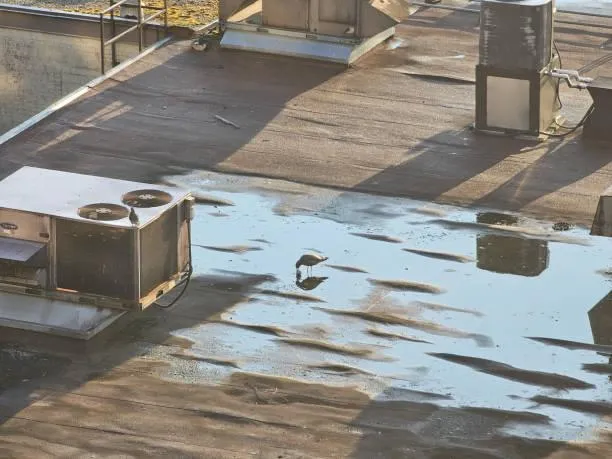 Standing water on a flat commercial roof in New Rochelle