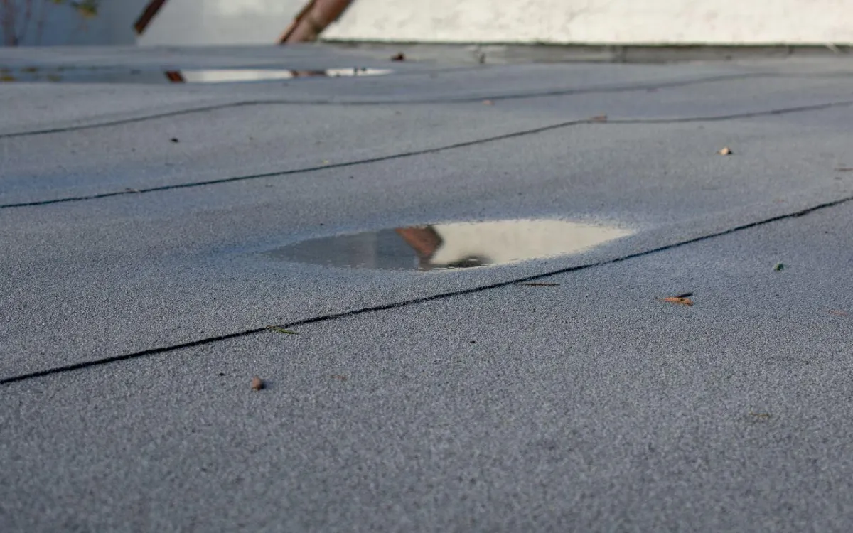 Flat roof ponding water Port Chester solutions