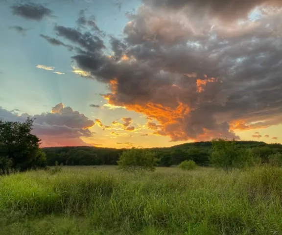 Let’s Talk About 2026 in the Texas Hill Country