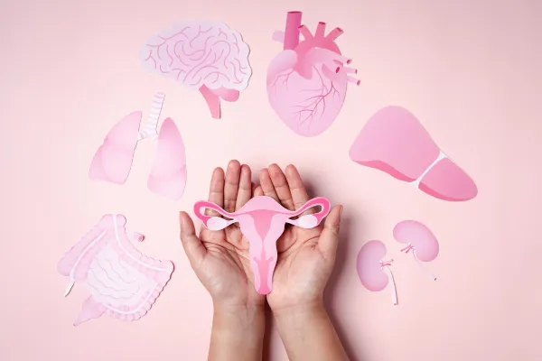 Santé Féminine & Entrepreneuriat : comment adapter son rythme naturellement