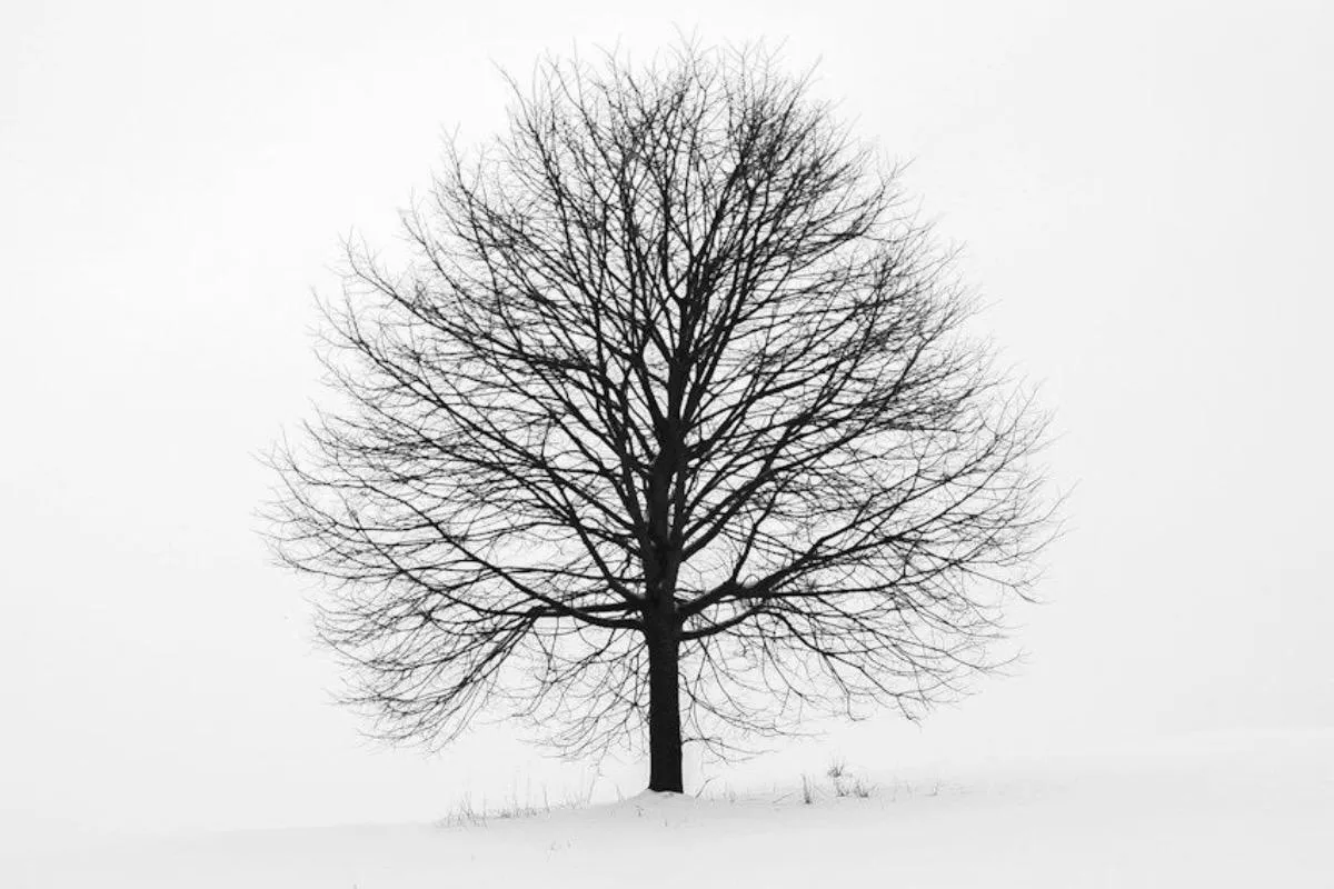 All-or-Nothing Thinking