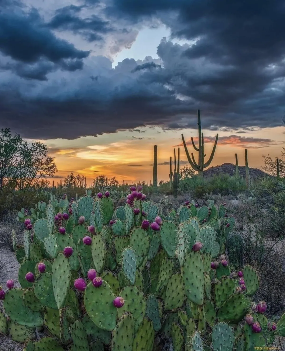 Scottsdale Adventure Retreats and Concierge