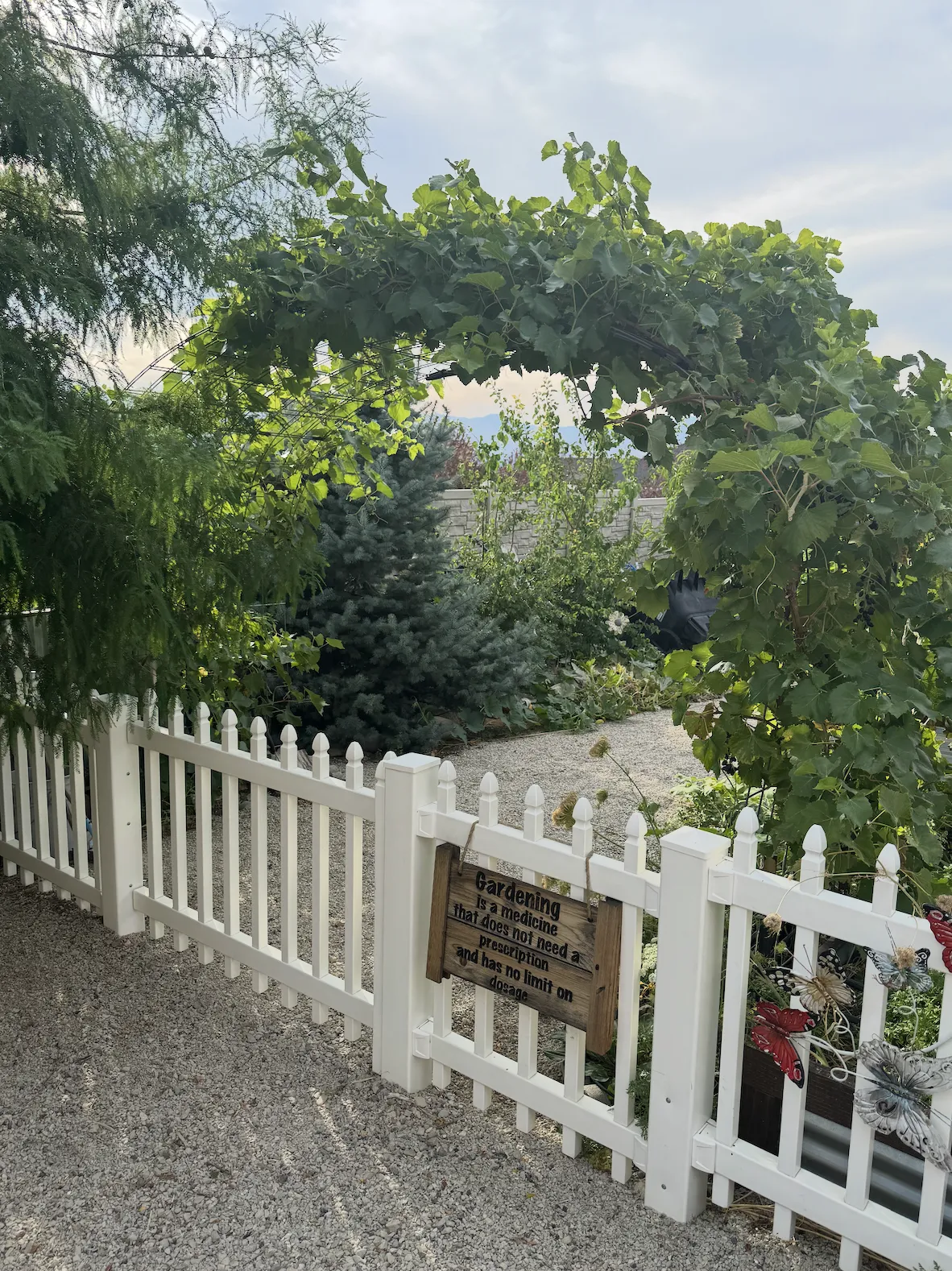 Garden Build Out