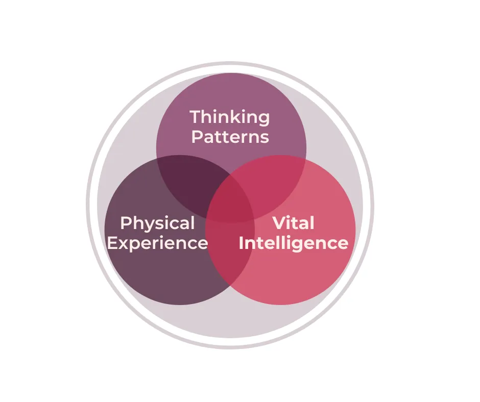 three dimensions of transformation