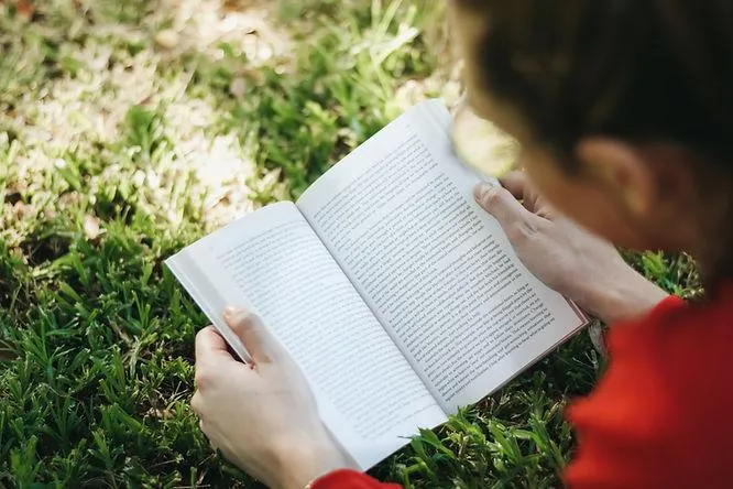 Embrace the Sun: The Surprising Benefits of Taking Summer School 