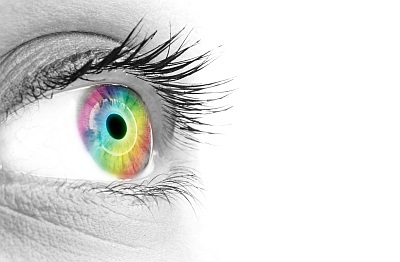 The Power of Vision: Creating a Life of Purpose, Possibility and Contribution