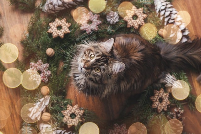 How to reduce holiday stress