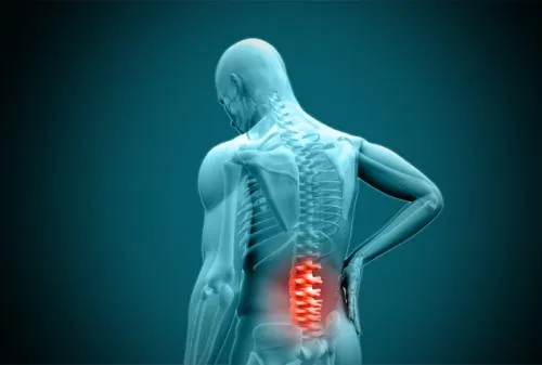 Why Chiropractic Care is a Great Choice for Back Pain Relief