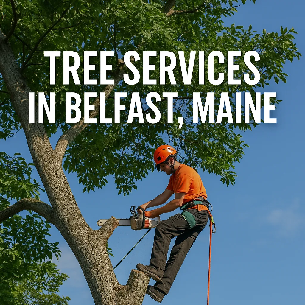Tree Services in Belfast Maine