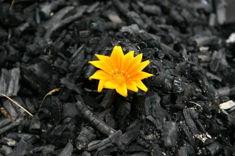 Hope