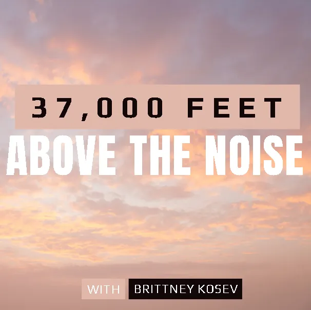 37,000 Feet Above the Noise: Why You Need Vulture Altitude to Lead and Win
