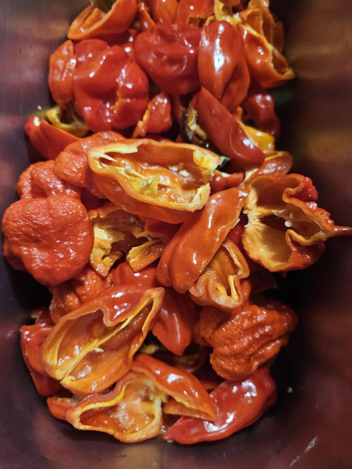 Tang & Flame Fermented Hot Sauce