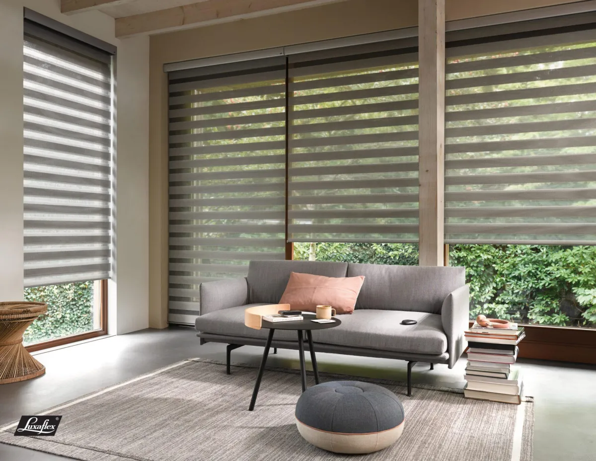 Vision Blinds