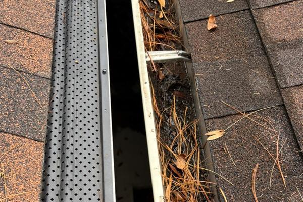 Gutter Problems