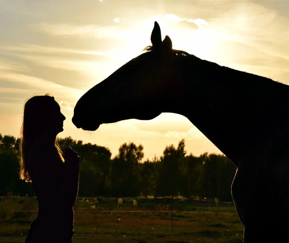 Woman and Horse Bond