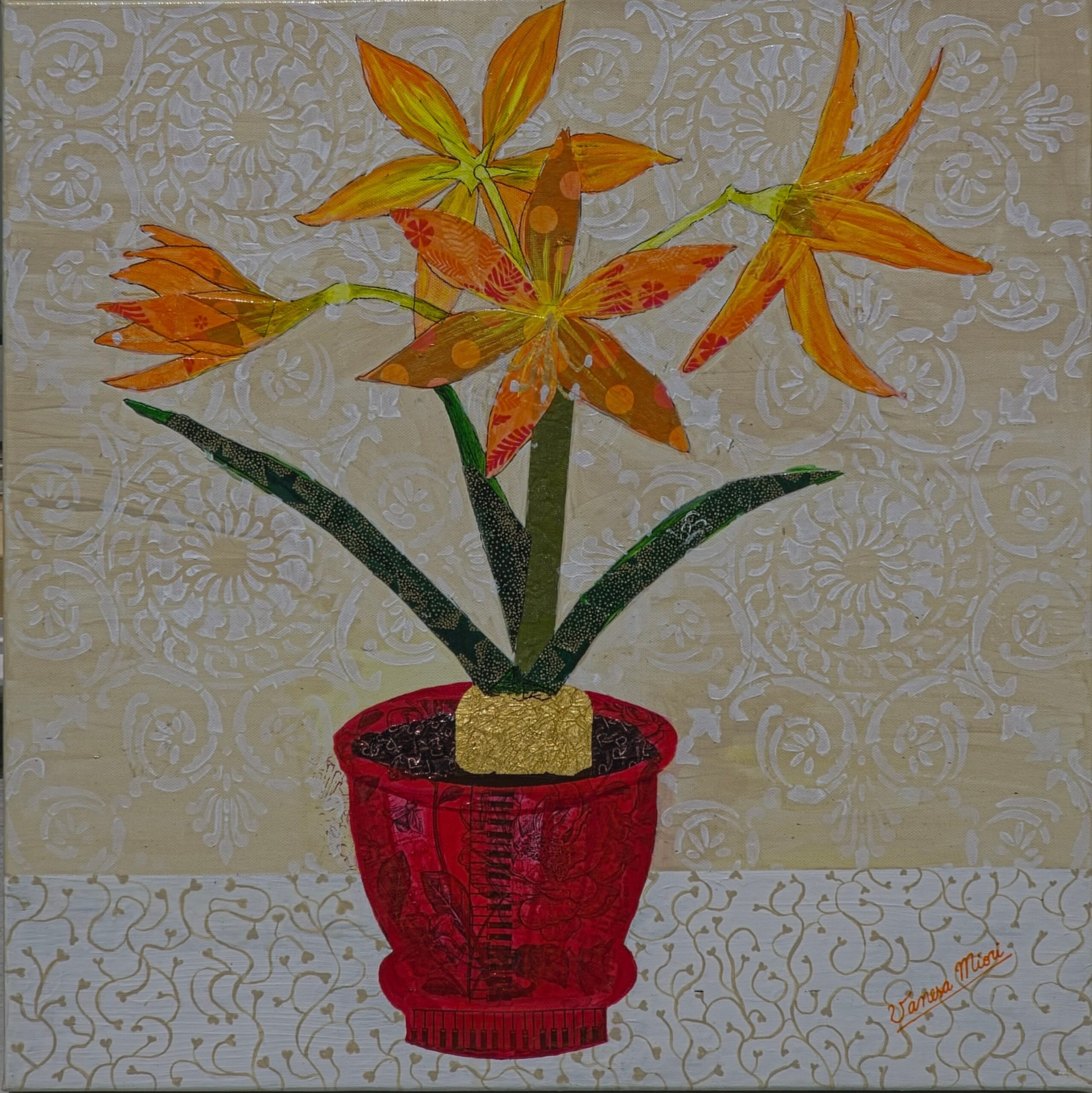 Hippeastrum Petiolatum