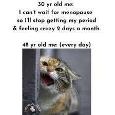 Perimenopause Explained