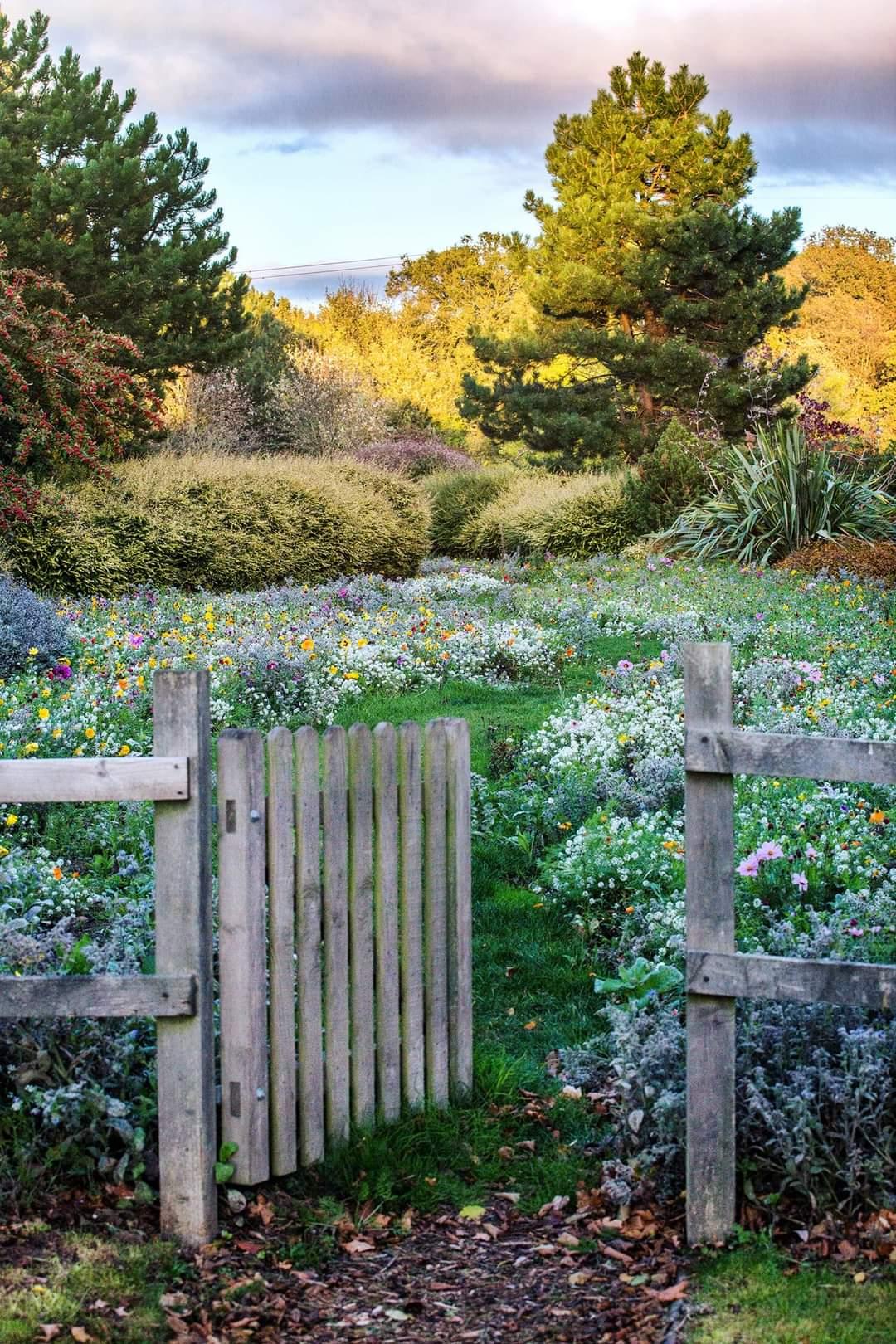 open gate and meadow