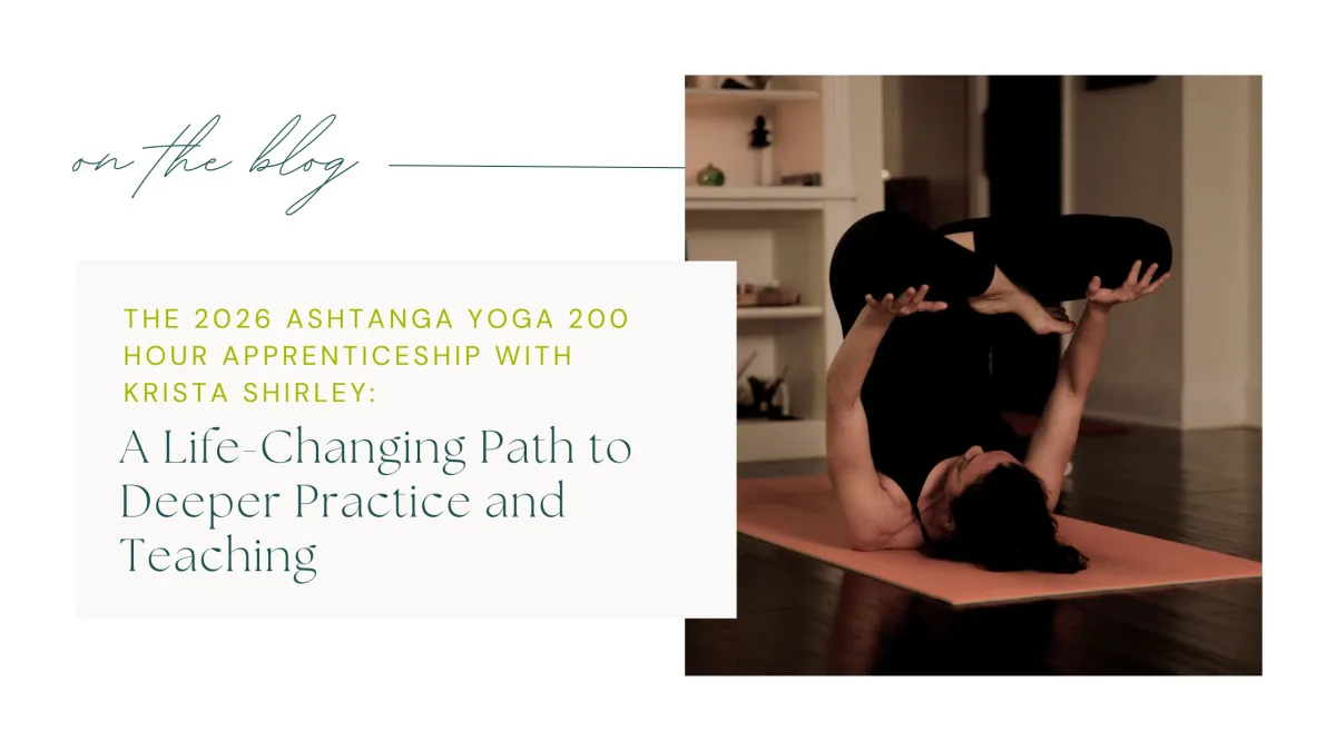 The 2026 Ashtanga Yoga Apprenticeship with Krista Shirley: A Life-Changing Path to Deeper Practice and Teaching