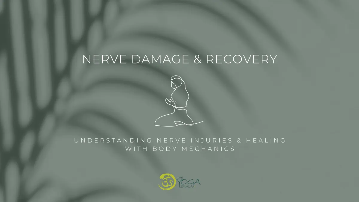 Nerve Damage & Recovery | Understanding Nerve Injuries & Healing with Body Mechanics - Copy