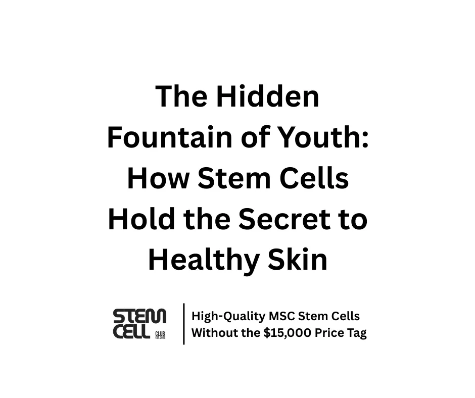 Stem Cell and your Skin