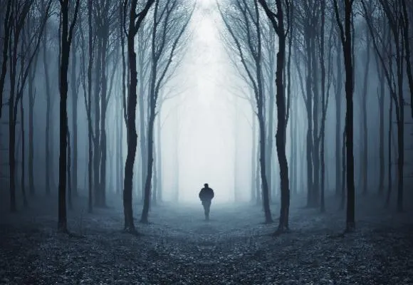 spooky forest with man