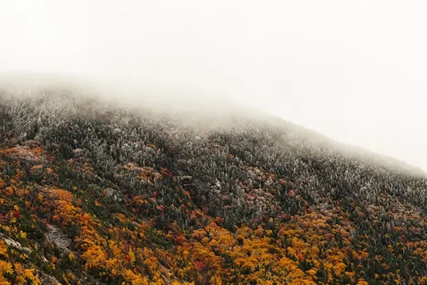 Dissolving Limiting Beliefs in Your Reiki Business Journey