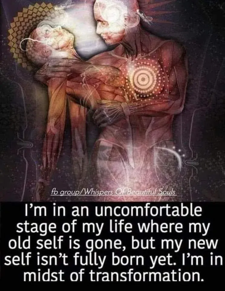 Grief 2 years in-to those that are new to the path