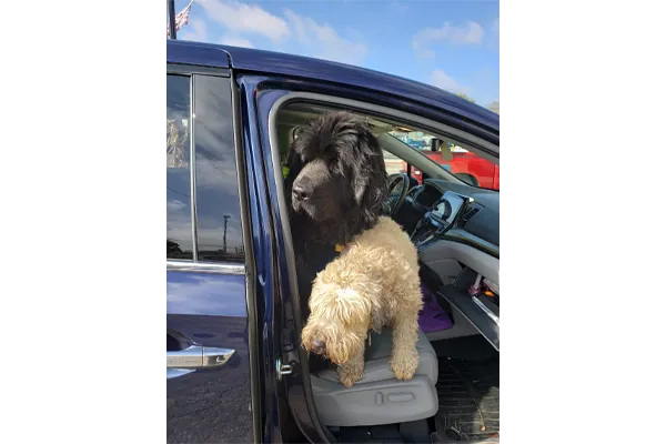 Max and the Car Ride