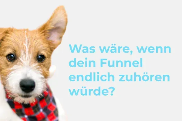 Terrier mit gespitztem Ohr