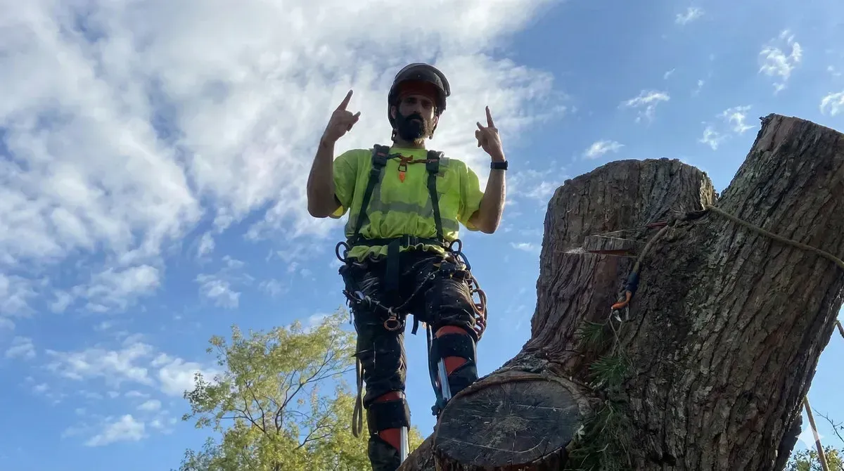 Storm Prep: Is Your Tree Ready for an Atmospheric River?