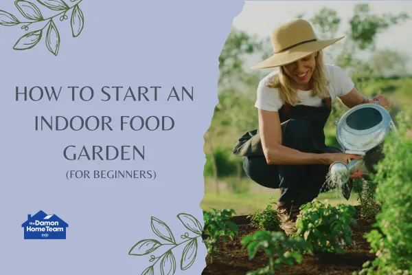 How to Start an Indoor Food Garden (for Beginners)