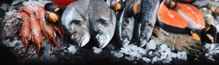 Bariatric Air Fried Cajun Catfish Recipe