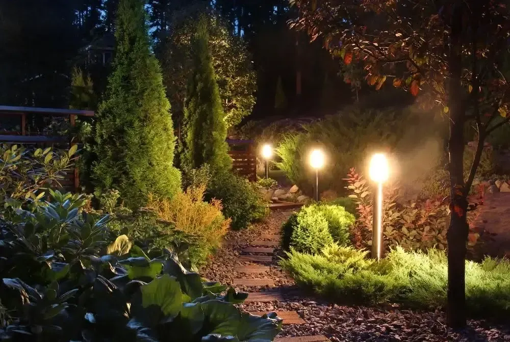 A beautifully lit garden at night, featuring various plants surrounded by gentle, glowing lights for a cozy vibe.